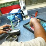 Michael Michaud wax models