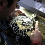 Michael Michaud table art