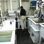 Michael Michaud plating jewelry